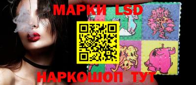 крисы Новозыбков