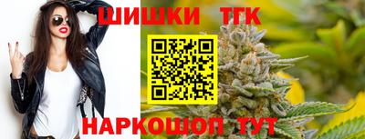крисы Новозыбков