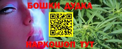 крисы Новозыбков